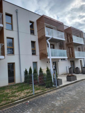 Apartament Jagiełły, Olsztynek